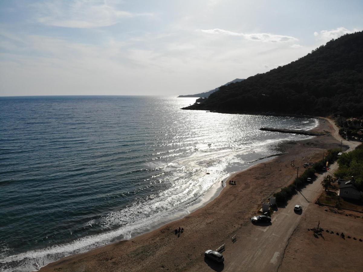 Hurmalik Apart Evleri-Very Close To The Sea Large Garden Bungalow With Barbecue And Swing Karaoz Kültér fotó