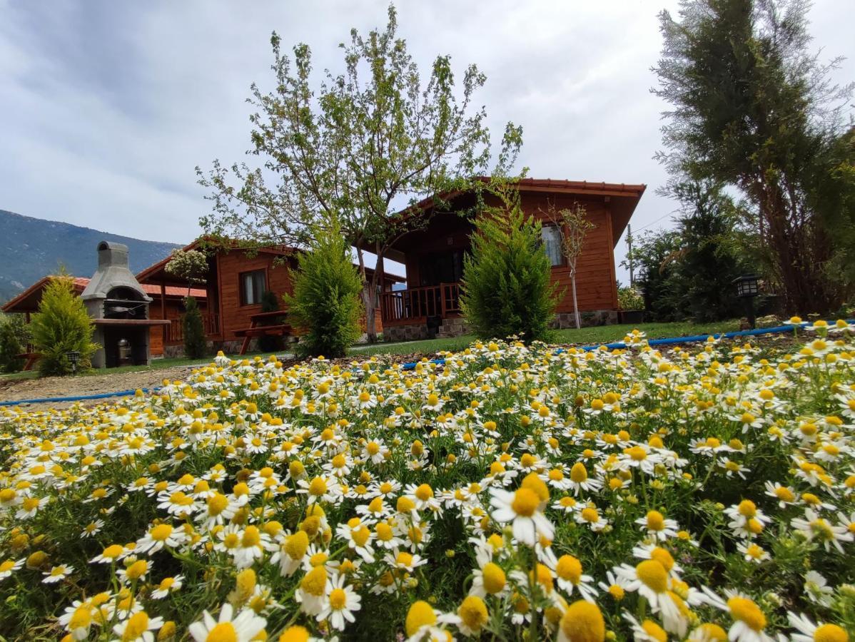Hurmalik Apart Evleri-Very Close To The Sea Large Garden Bungalow With Barbecue And Swing Karaoz Kültér fotó